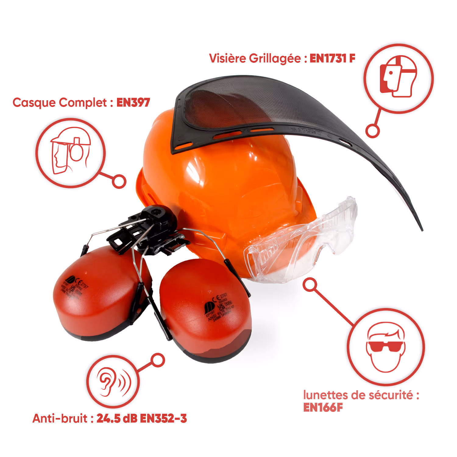 CASQUE FORESTIER