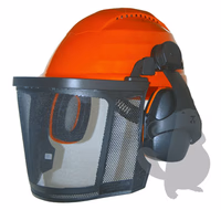 CASQUE FORESTIER