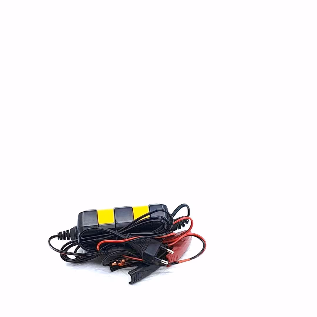 Chargeur ARTIC 800