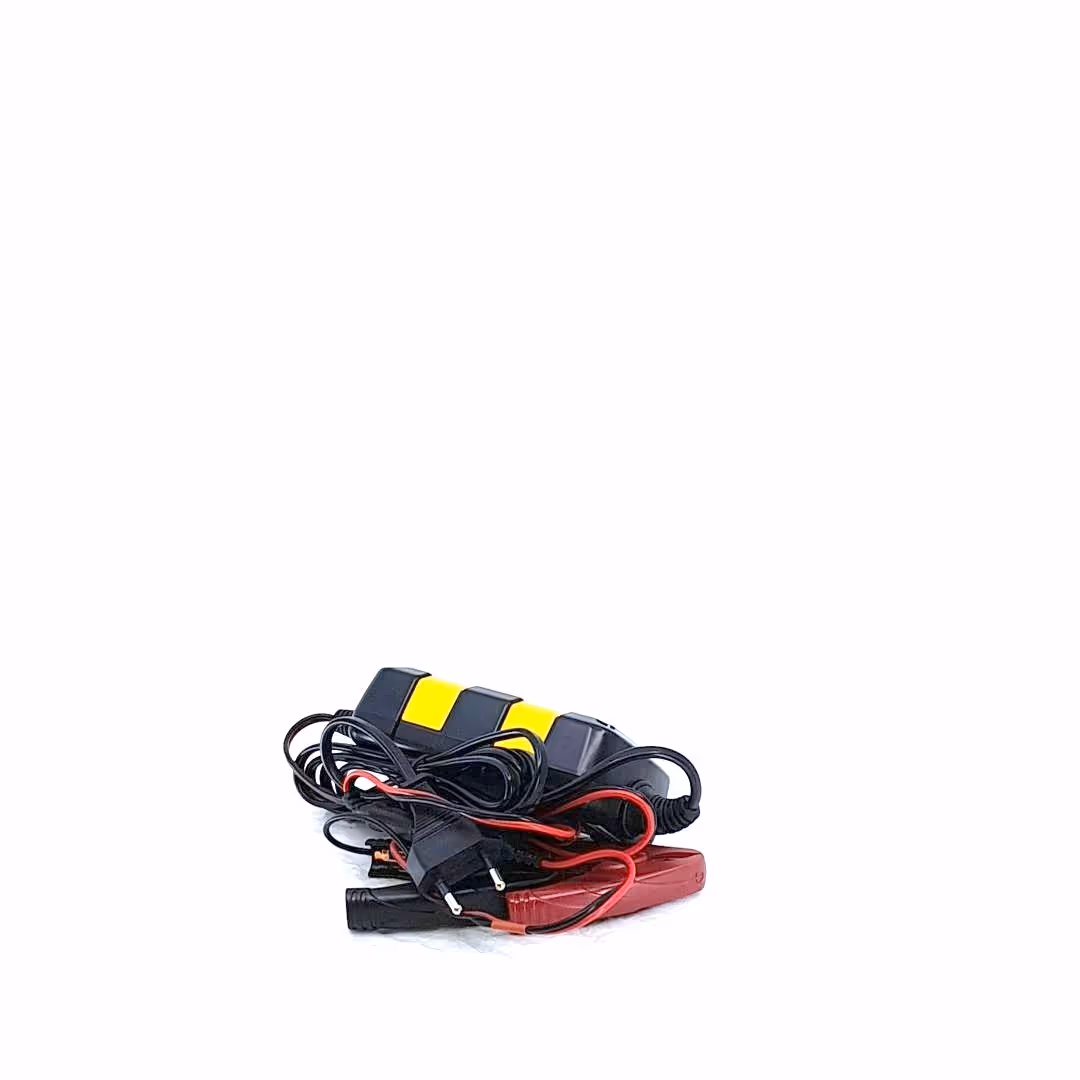 Chargeur ARTIC 800