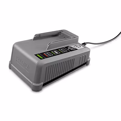 Chargeur Battery Power+ 36/60 *EU