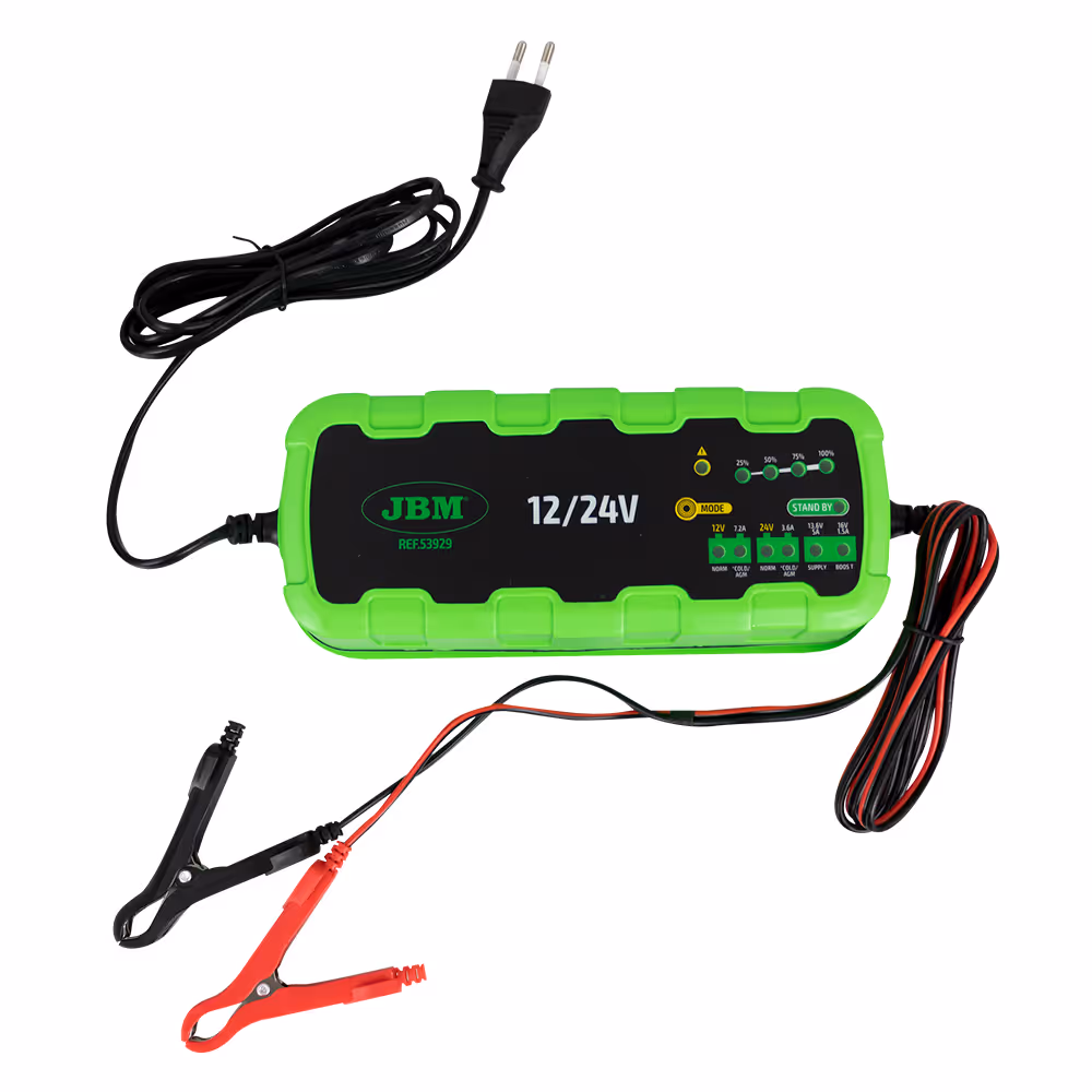 Chargeur de batteries 12/24v 