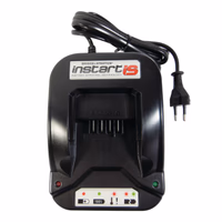 Chargeur pour batterie briggs & stratton
