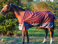 Chemise impermeable cheval 135 cm