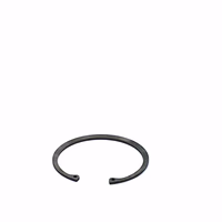 Circlip 100 mm int.