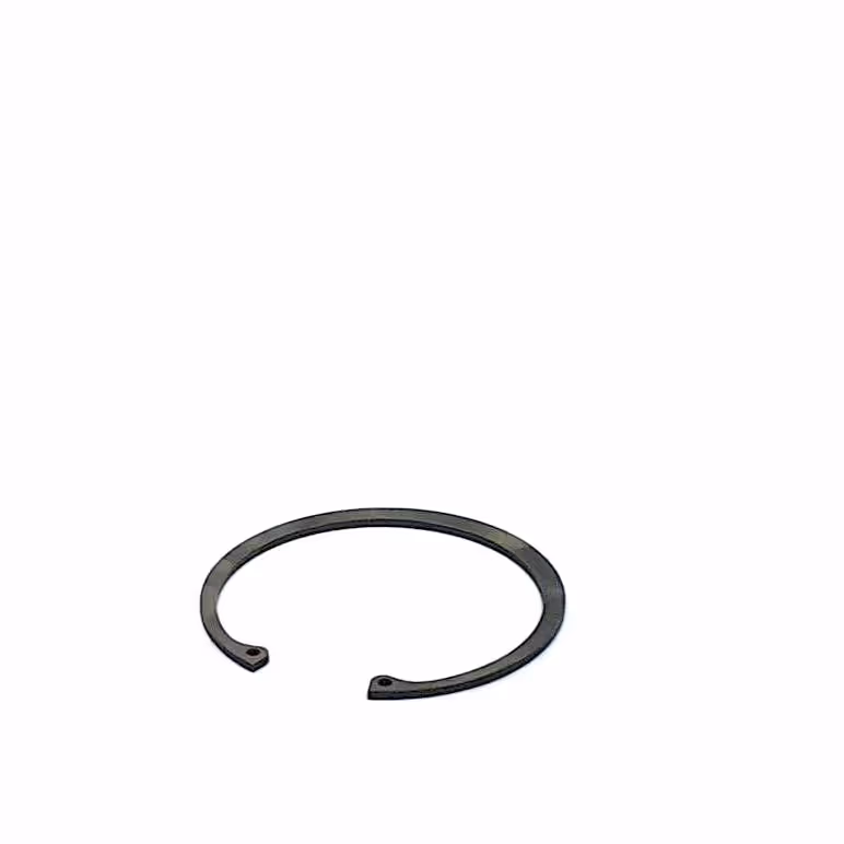 Circlip 100 mm int.