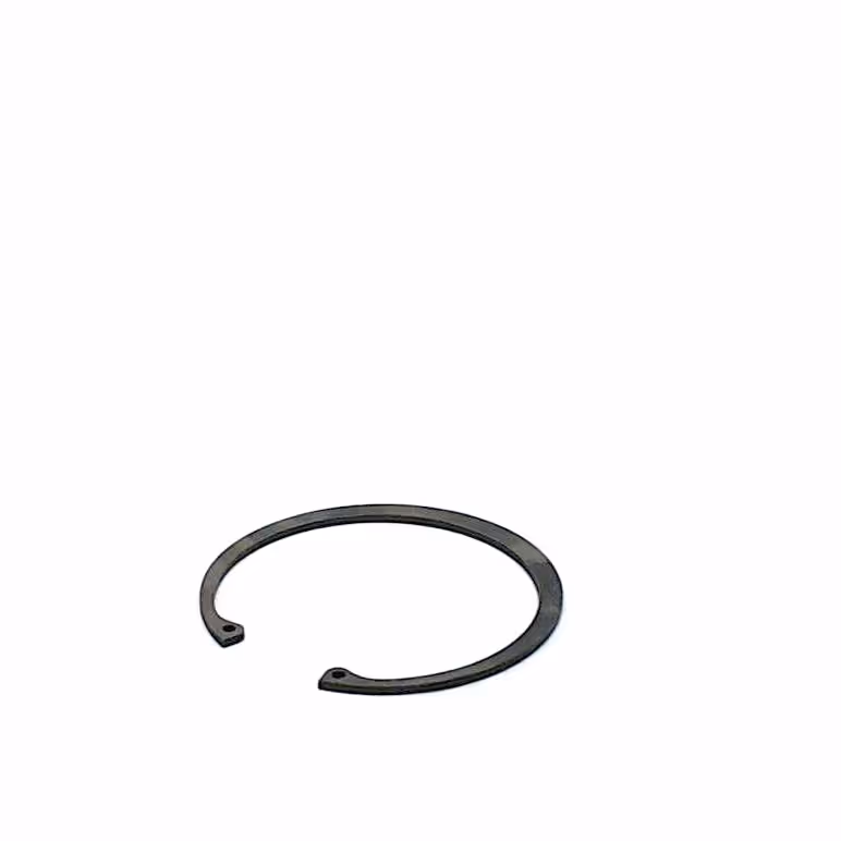 Circlip 100 mm int.