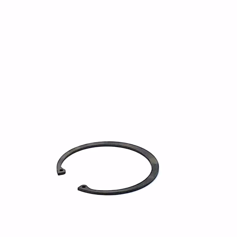 Circlip 100 mm int.