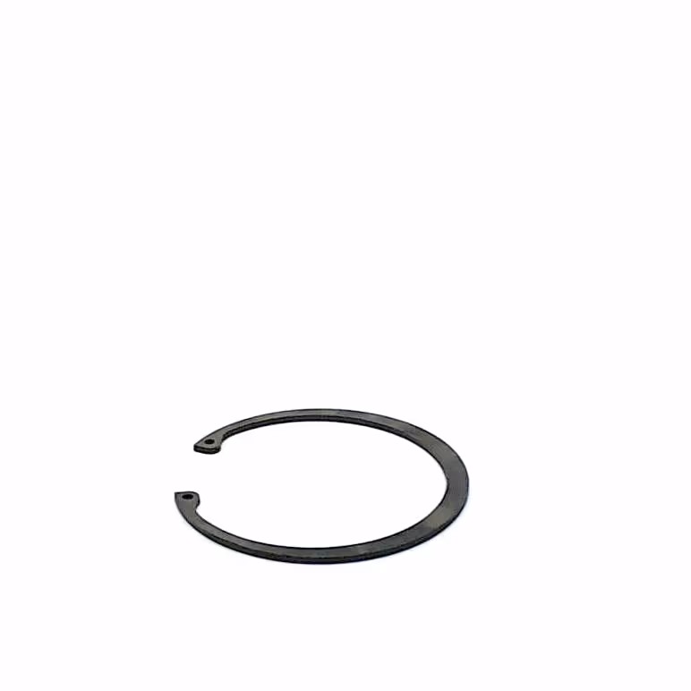 Circlip 100 mm int.