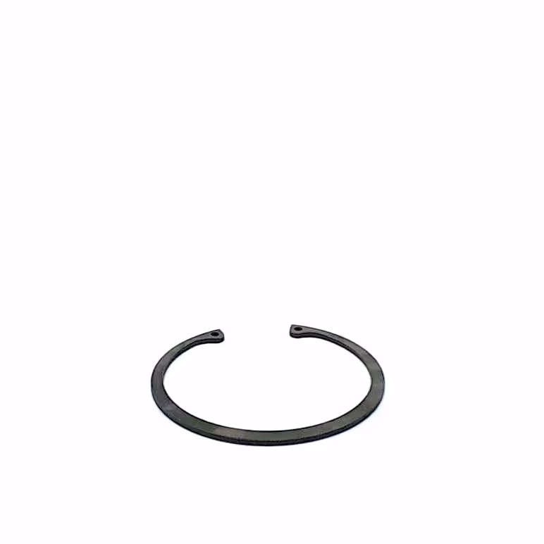 Circlip 100 mm int.