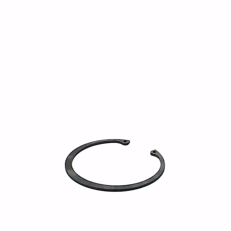Circlip 100 mm int.