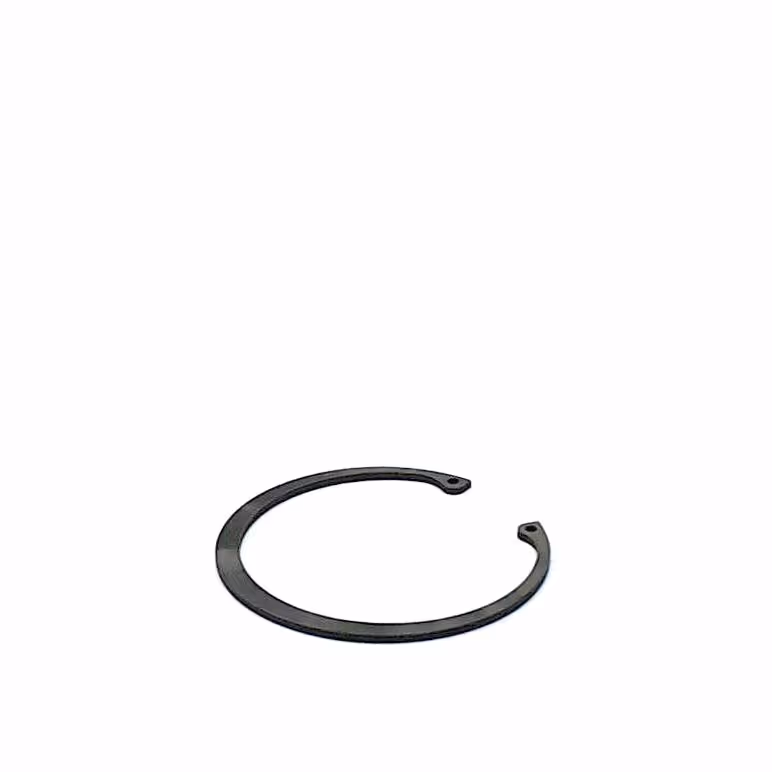 Circlip 100 mm int.