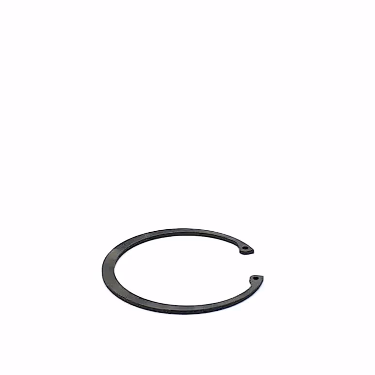 Circlip 100 mm int.