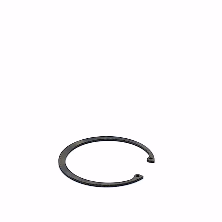 Circlip 100 mm int.