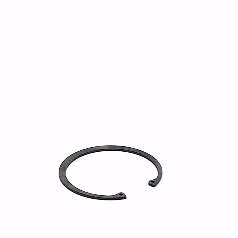 Circlip 100 mm int.