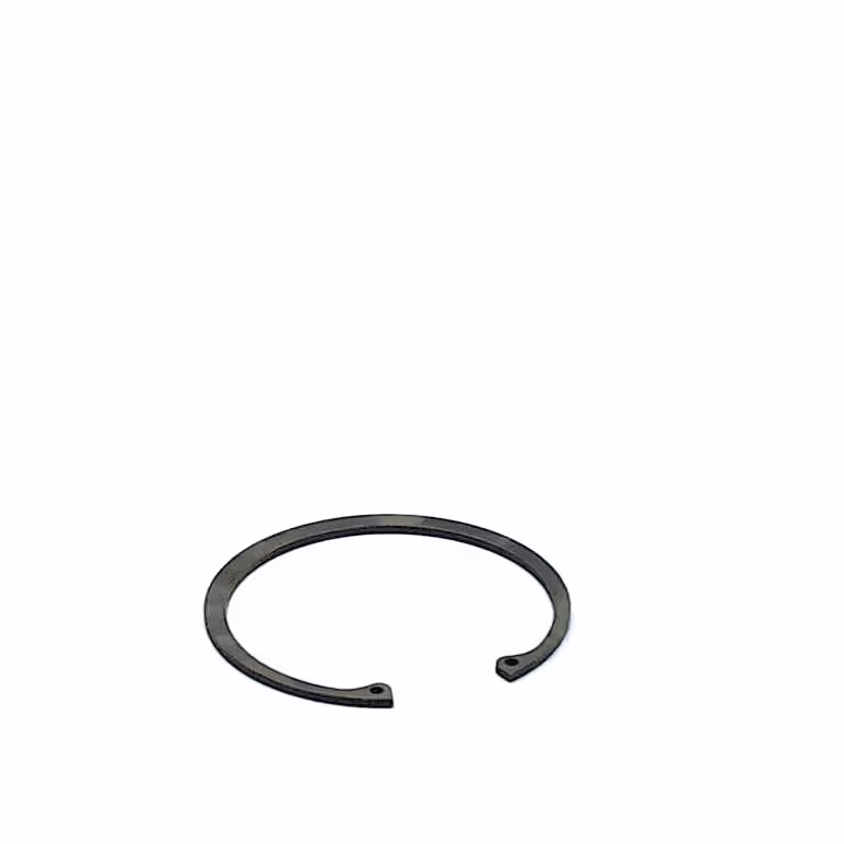 Circlip 100 mm int.