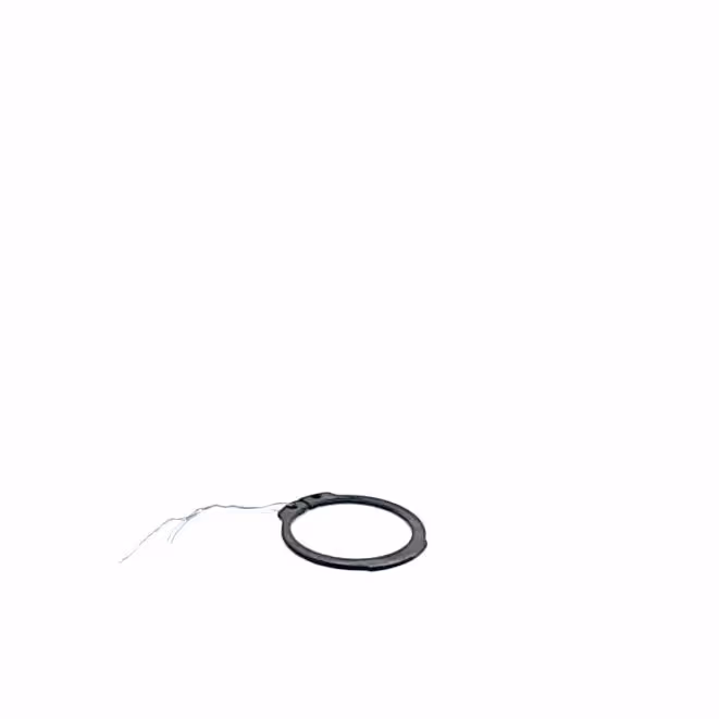 Circlips 370006 | Case IH