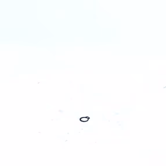 CIRCLIPS