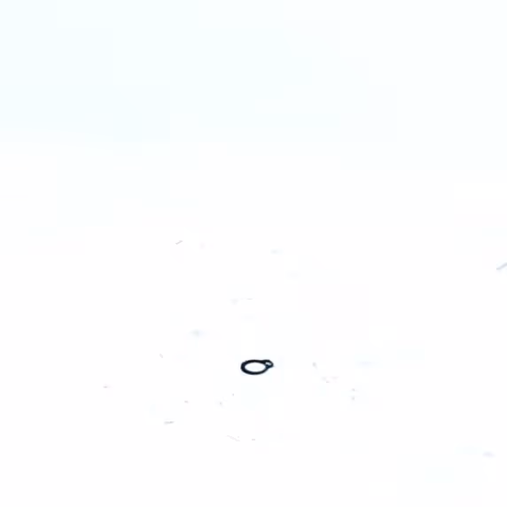 CIRCLIPS