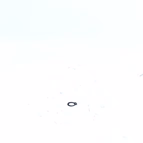 CIRCLIPS