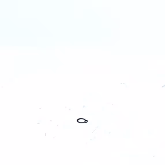 CIRCLIPS