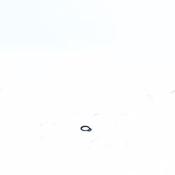 CIRCLIPS