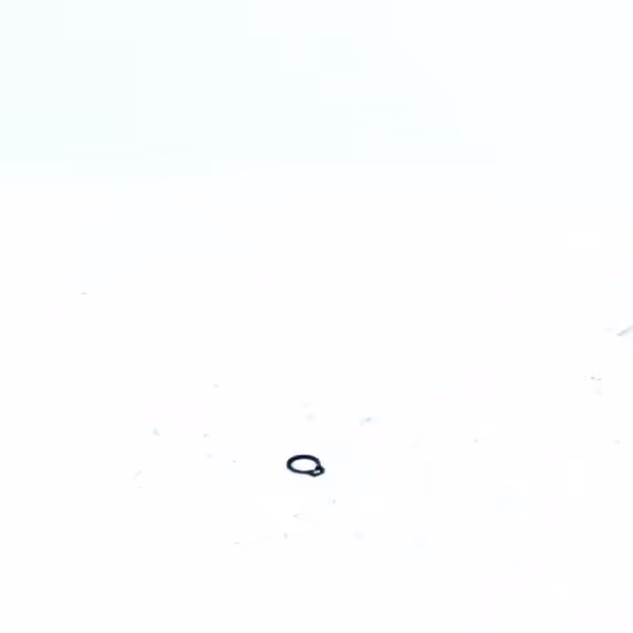 CIRCLIPS