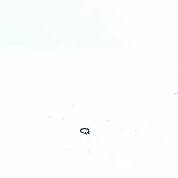 CIRCLIPS
