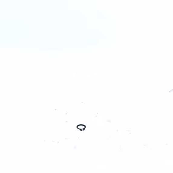 CIRCLIPS