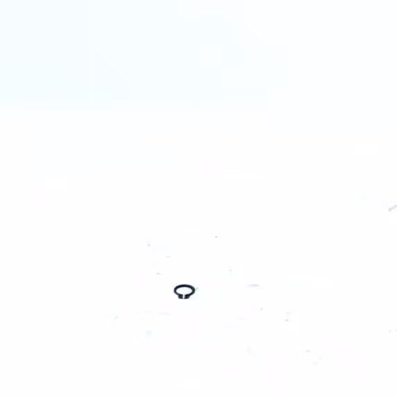 CIRCLIPS