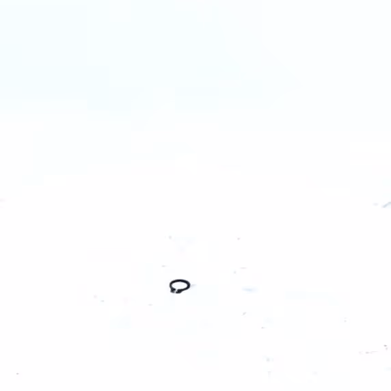 CIRCLIPS