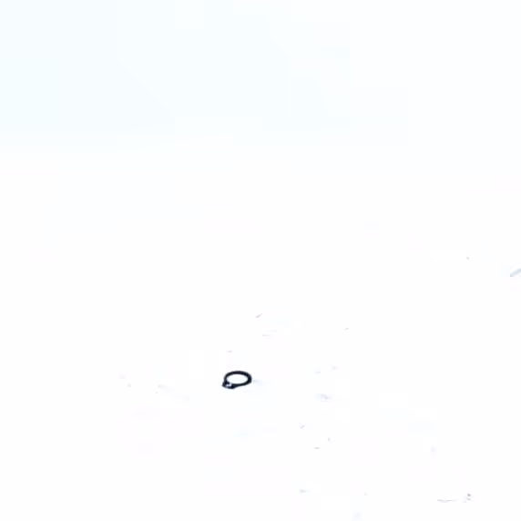 CIRCLIPS