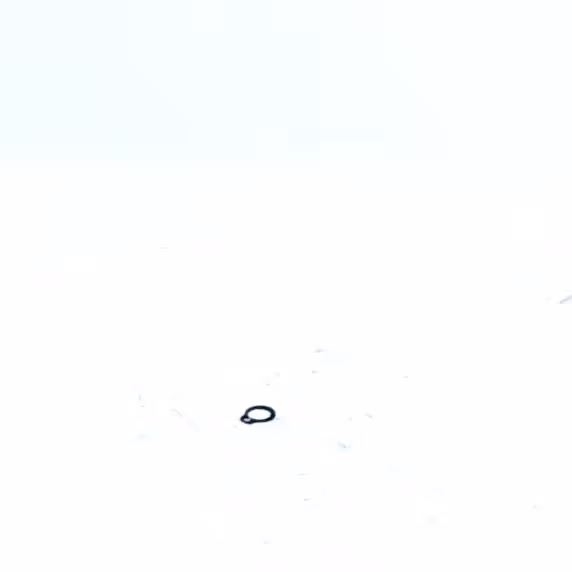 CIRCLIPS