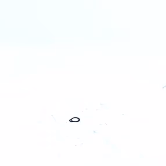 CIRCLIPS