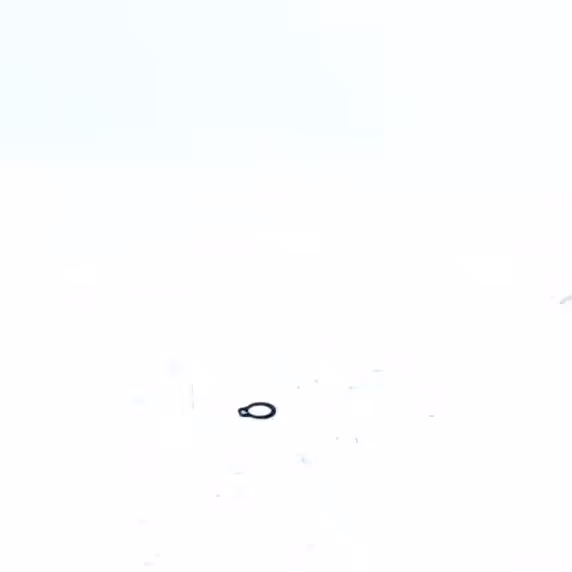 CIRCLIPS