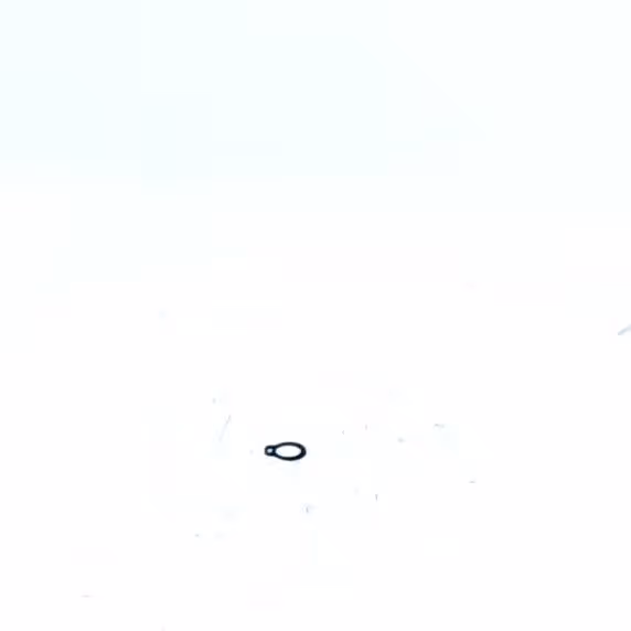 CIRCLIPS