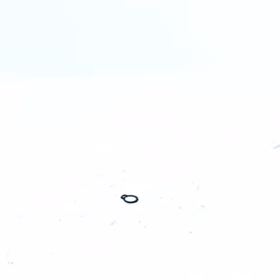 CIRCLIPS