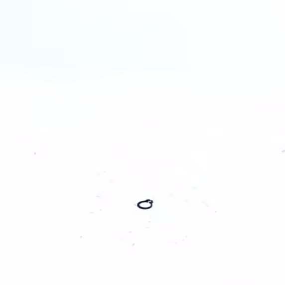 CIRCLIPS