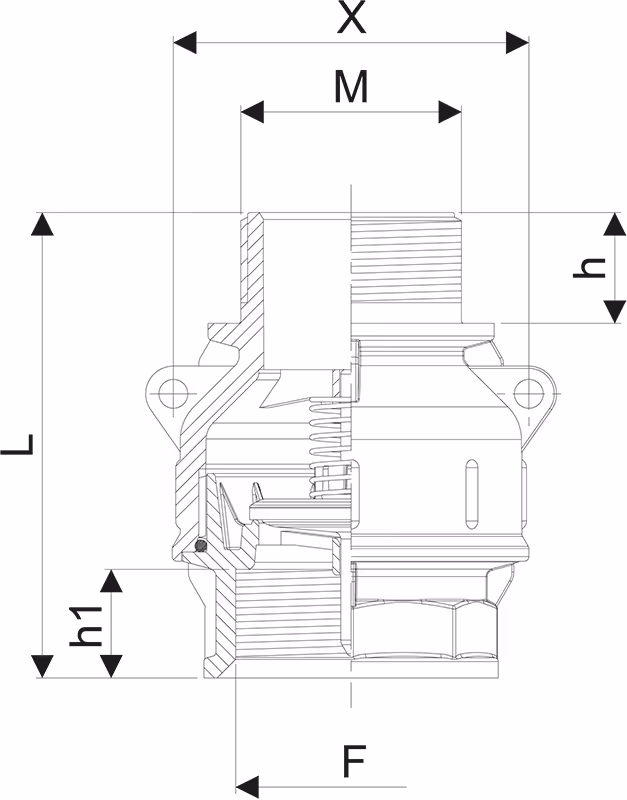 CLAPET ANTI RETOUR 2" M-F
