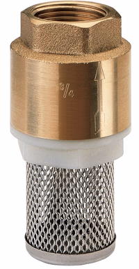 Clapet Anti Retour Crépine Inox Fem 4"