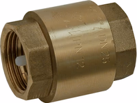 Clapet Anti Retour Laiton F/F 2"