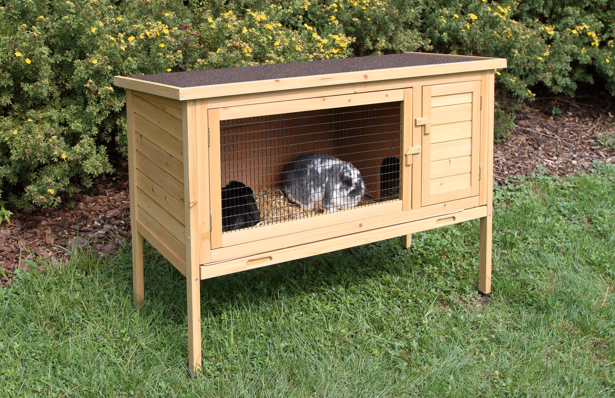 Clapier pour rongeur Buddy, 116X52X82cm