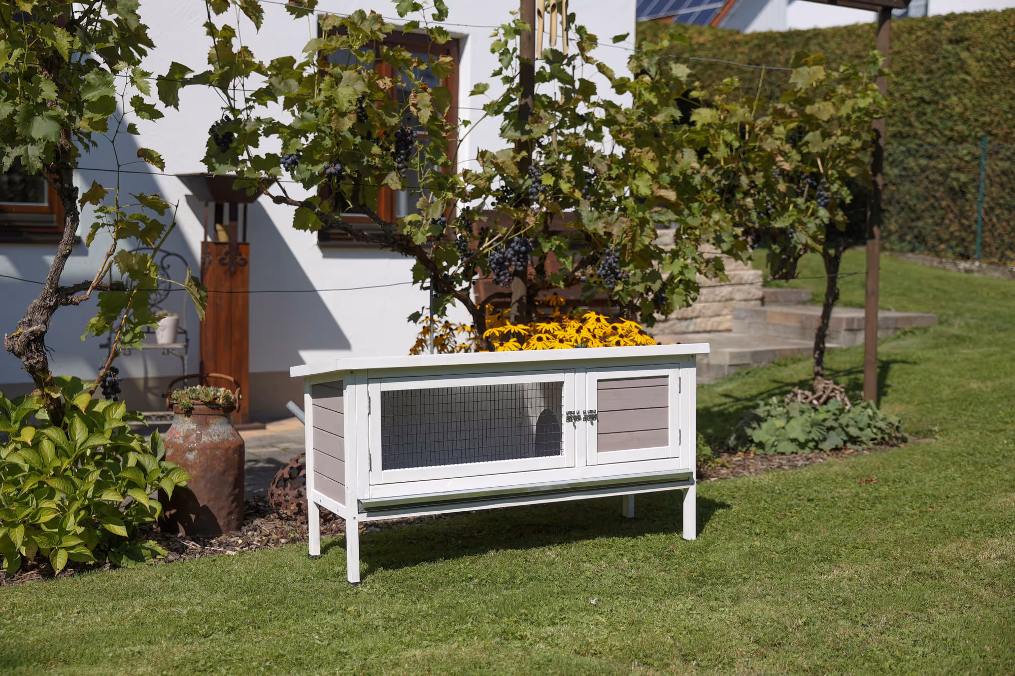 Clapier pour rongeur Freddy, 116X45X62cm