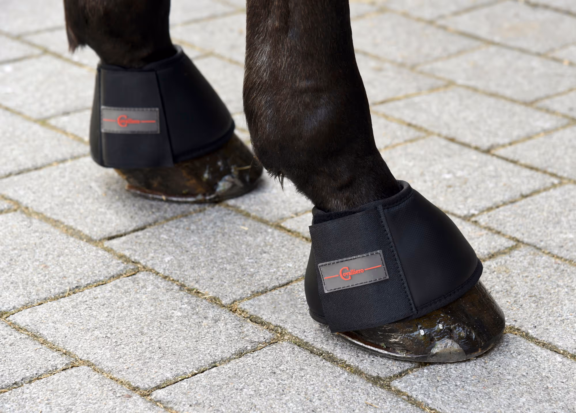 Cloches de protection Protecto noires, pony
