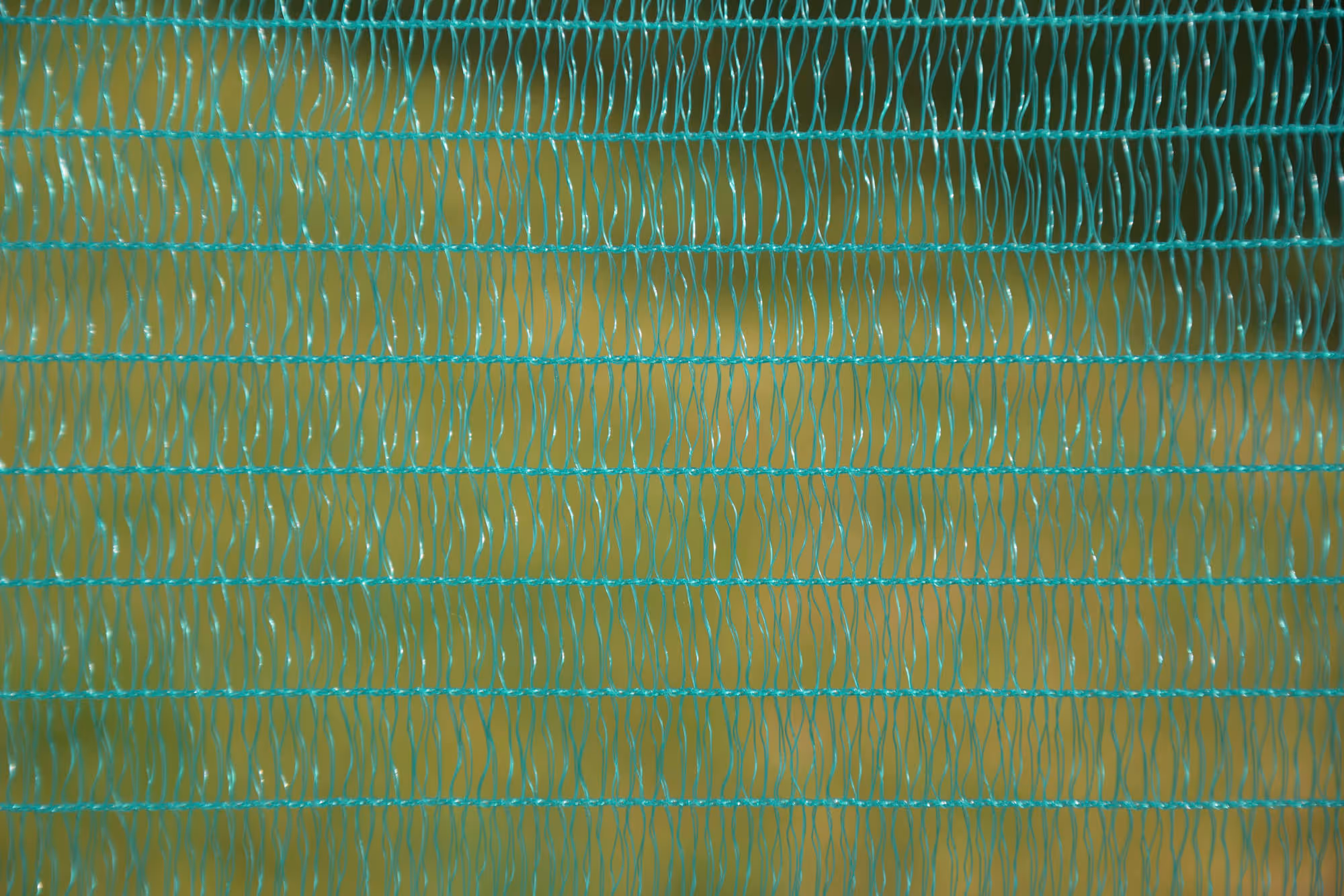 Clôture universelle verte 20m 11 piquets simple pointes 80cm