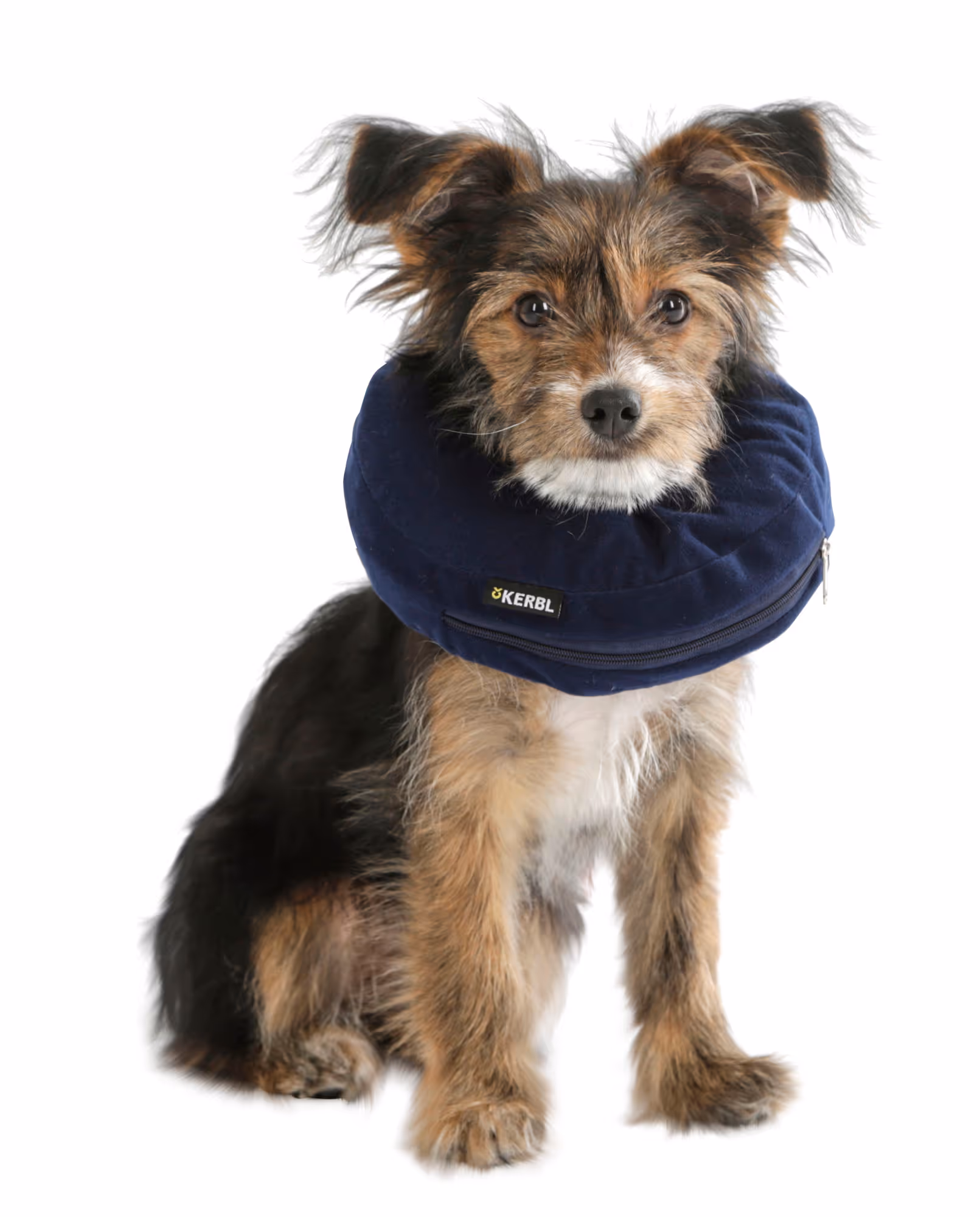 Collerette pour chiens gonflable bleue, 18-30cm