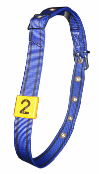 Collier dac l40 bleu  passant