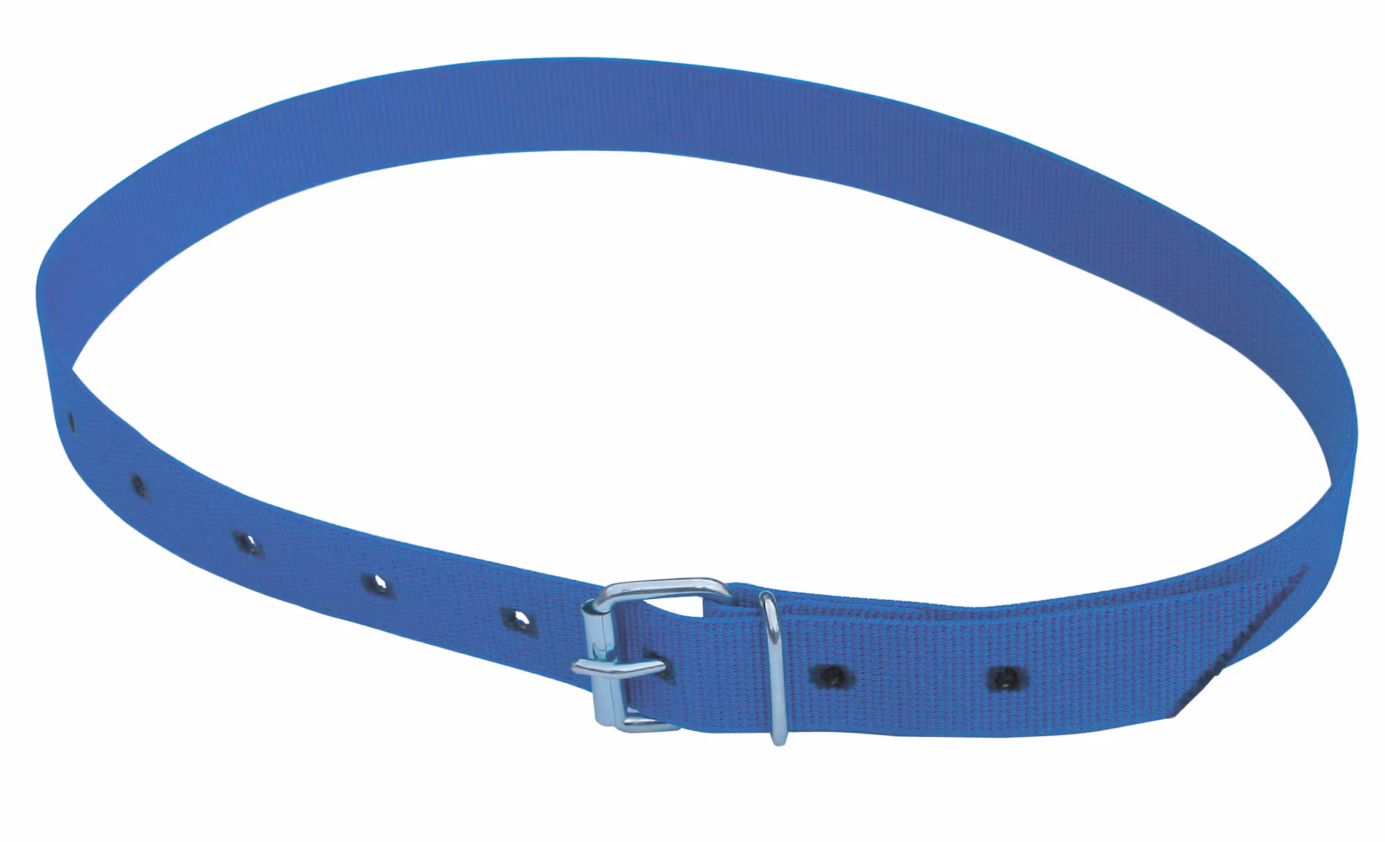 Collier de marquage bleu 135cm avec boucle