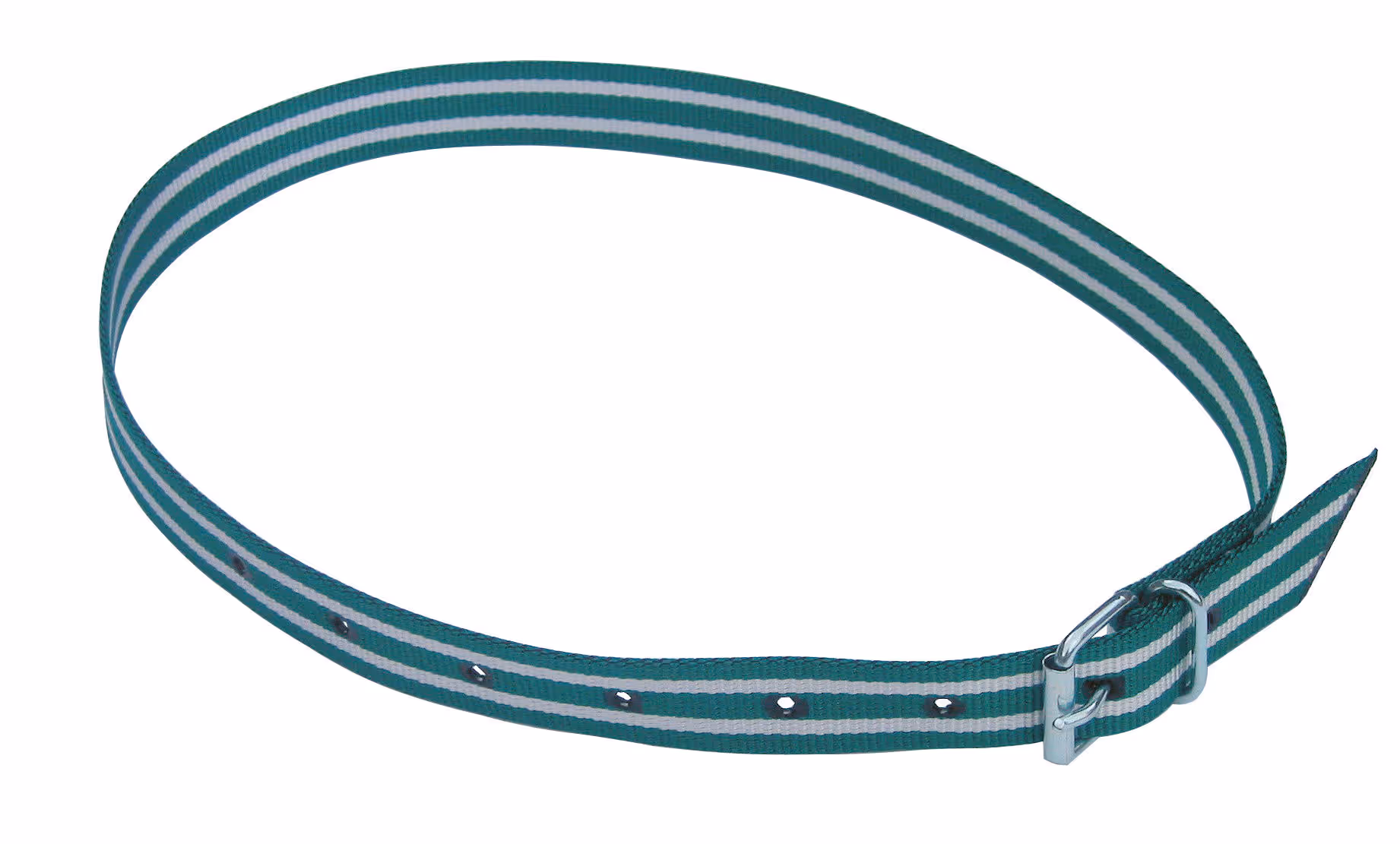 Collier de marquage vertblanc 120cm avec boucle