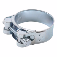 Collier tuyau pulverisation de serrage 29-31 mm Adaptable